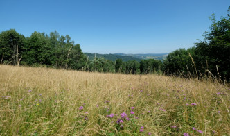 Prodej pozemku na Vyškovci