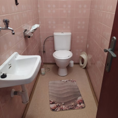 Pronájem rodinného domu ve Vlčnově