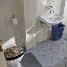 Pronájem rodinného domu v Uherském Brodě