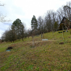 Prodej chaty v Halenkovicích