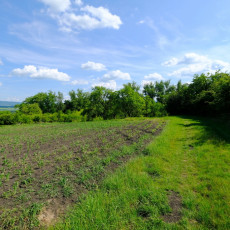 Prodej zahrady v Uherském Brodě
