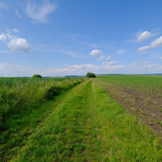 Prodej zahrady v Uherském Brodě