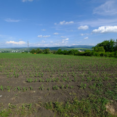 Prodej zahrady v Uherském Brodě