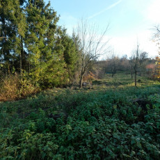 Prodej pozemku v Šumicích