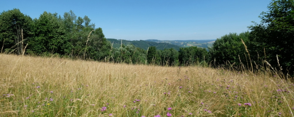 Prodej pozemku na Vyškovci